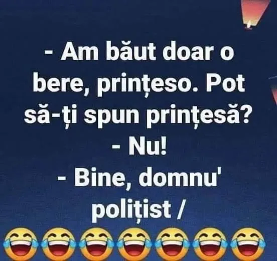 Am băut doar o bere, prințeso. Pot să-ți spun printeasă?