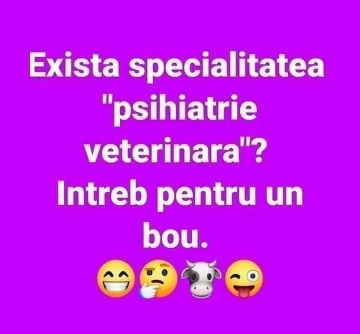 Exista specialitatea psihiatrie veterinara?