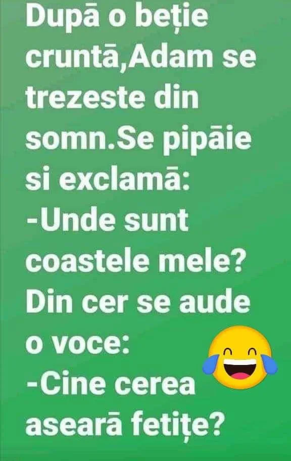 După o beție cruntă, Adam se trezește din somn...