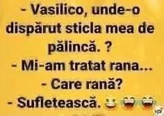 Vasilico, unde-o dispărut sticla mea de pălincă?