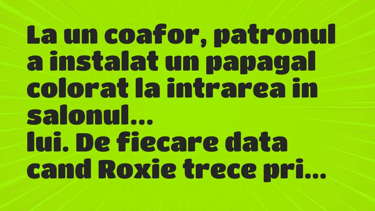 Banc: La un coafor, patronul a instalat un papagal colorat la intrarea in…