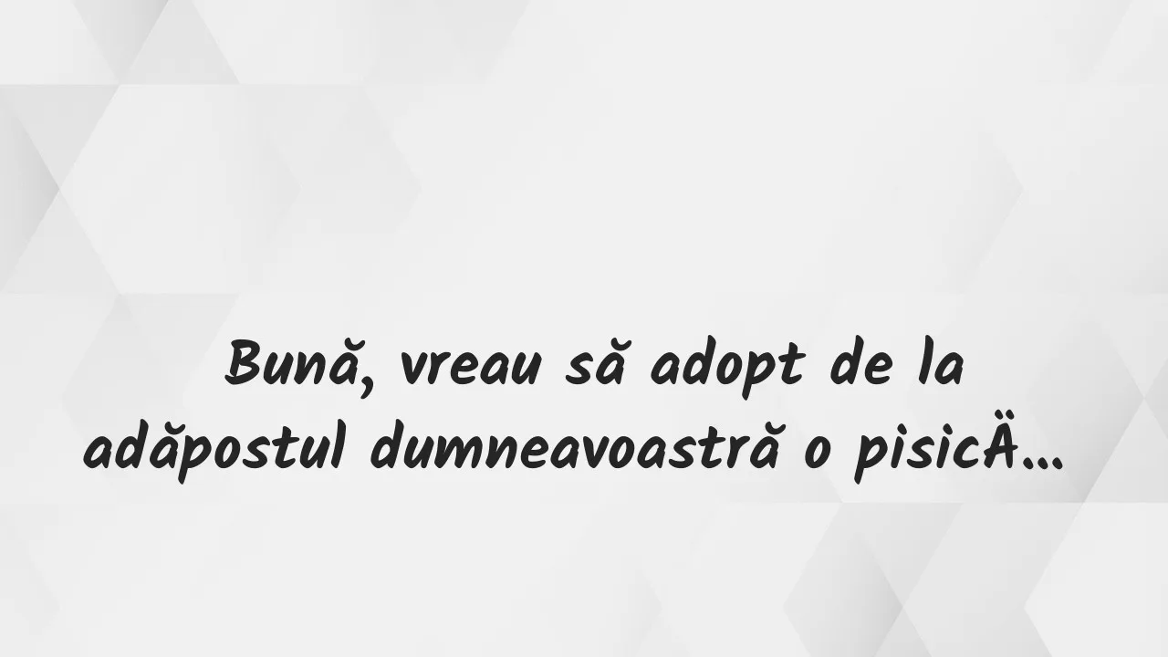 Banc: – Vreau să adopt o pisică de rasă pură