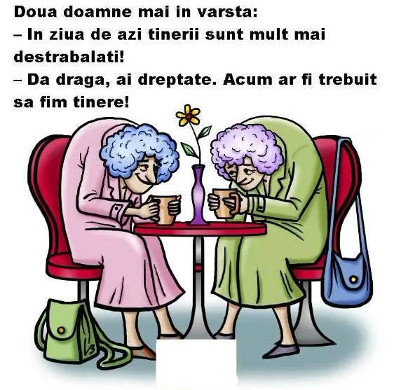 Doua doamne mai in varsta...