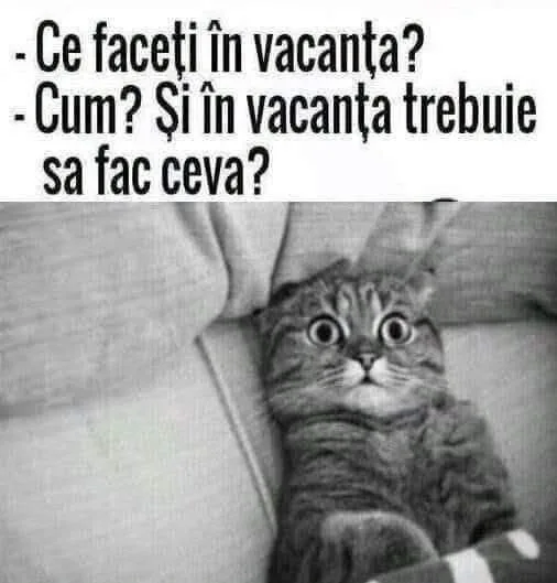 Ce faci în vacanță?