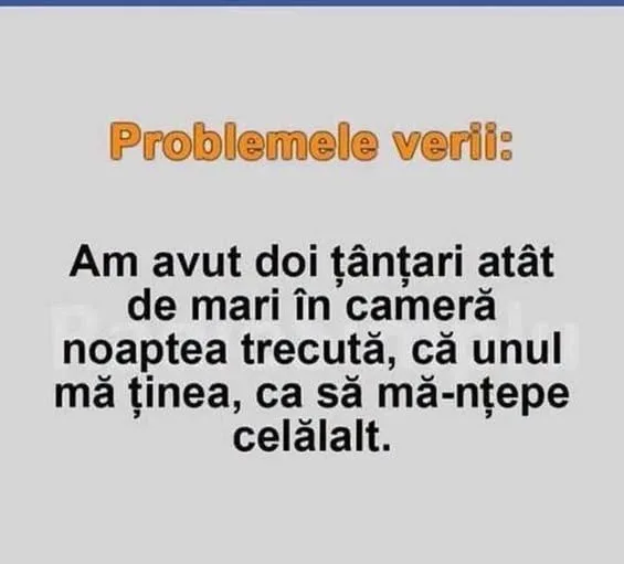 Problemele verii...