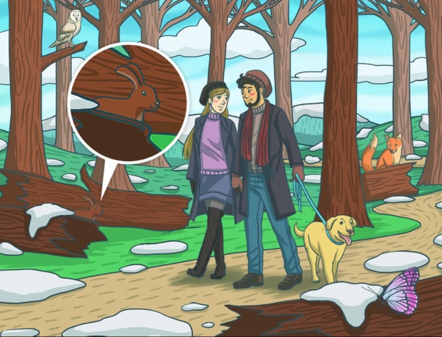 Hidden rabbit puzzle in a forest scene