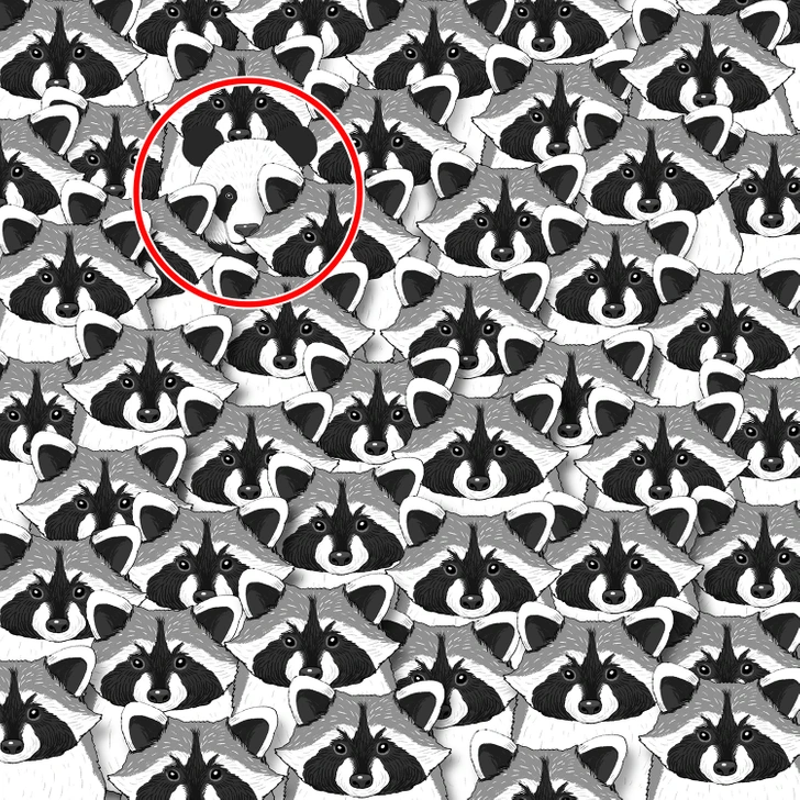 rejtveny-fejtoro-panda | Marie Claire The solution