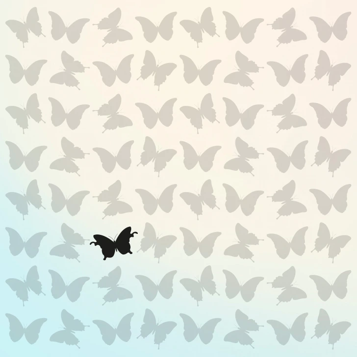 fejtoro-pillango | Marie Claire The solution
