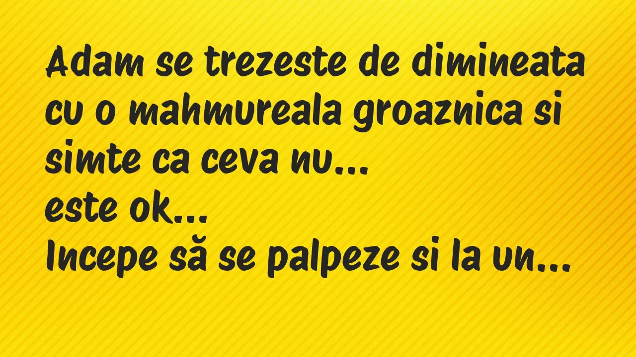Banc: Adam se trezeste de dimineata cu o mahmureala groaznica si simte ca…