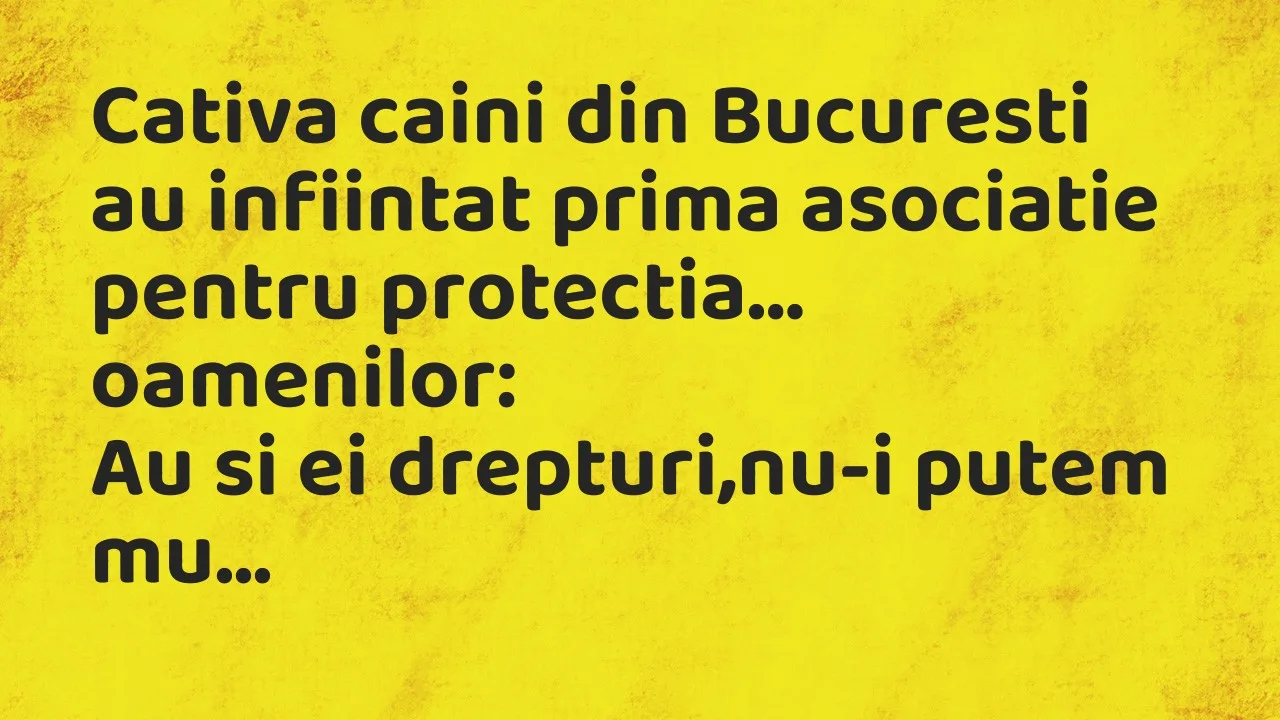 Banc: Cativa caini din Bucuresti au infiintat prima asociatie pentru…
