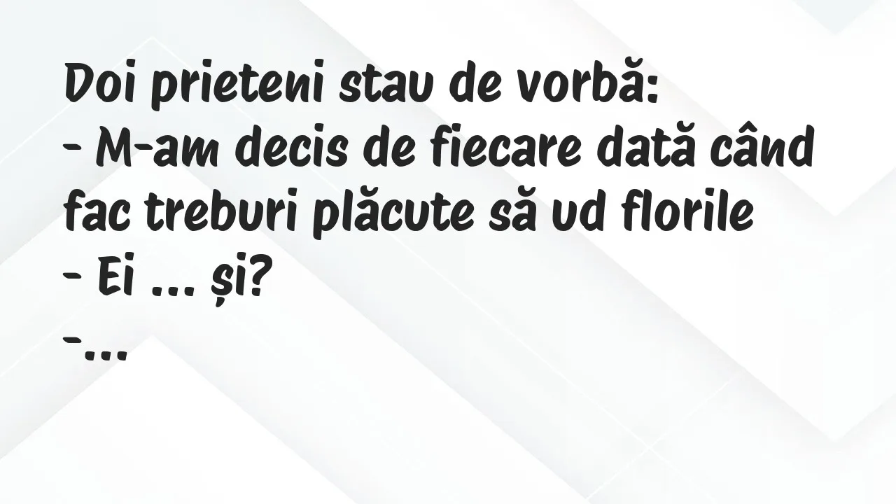 Banc: Doi prieteni stau de vorbă…