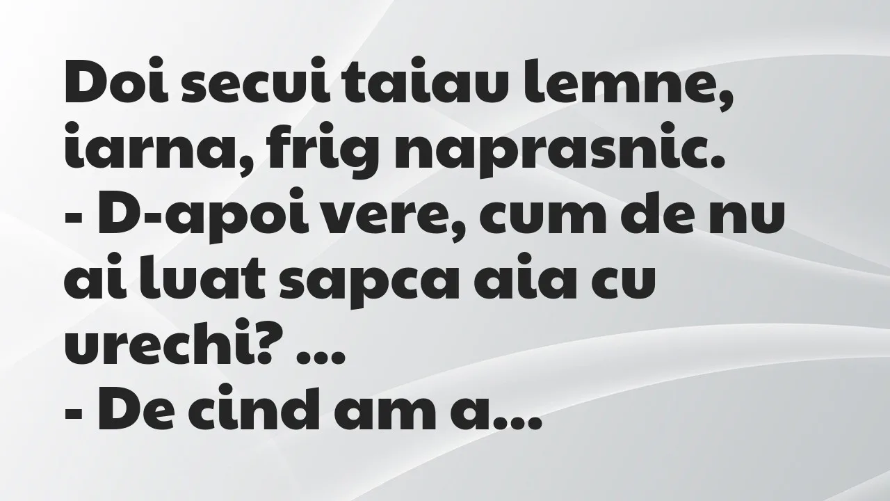 Banc: Doi secui taiau lemne, iarna, frig naprasnic…