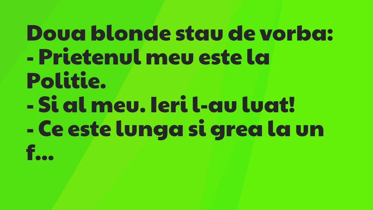 Banc: Doua blonde stau de vorba…