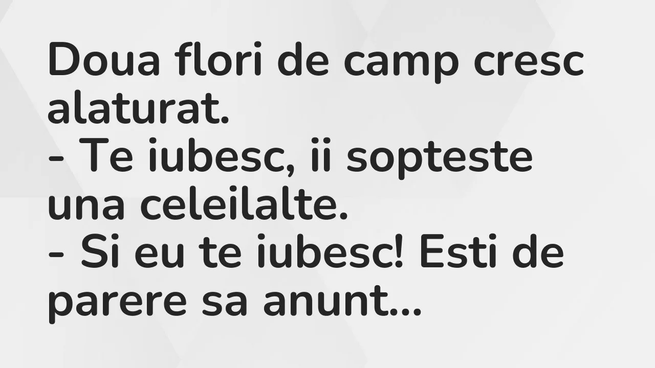 Banc: Doua flori de camp cresc alaturat…
