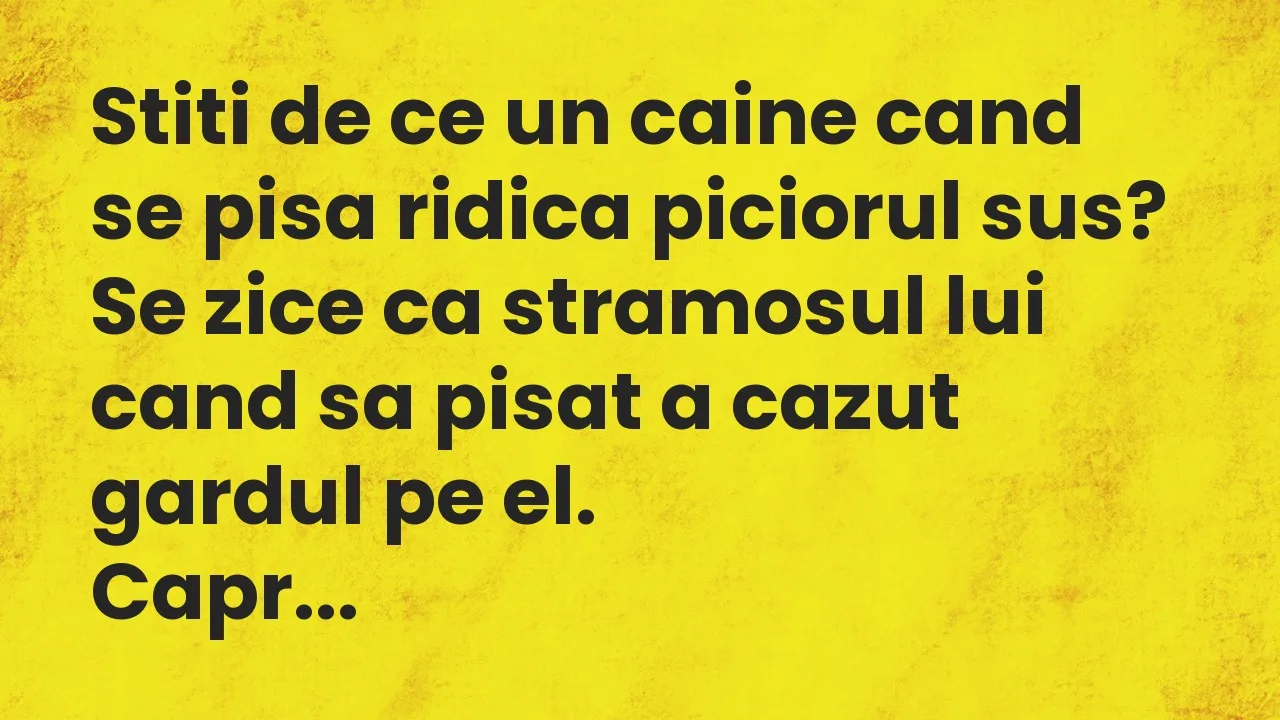 Banc: Stiti de ce un caine cand se pisa ridica piciorul sus?