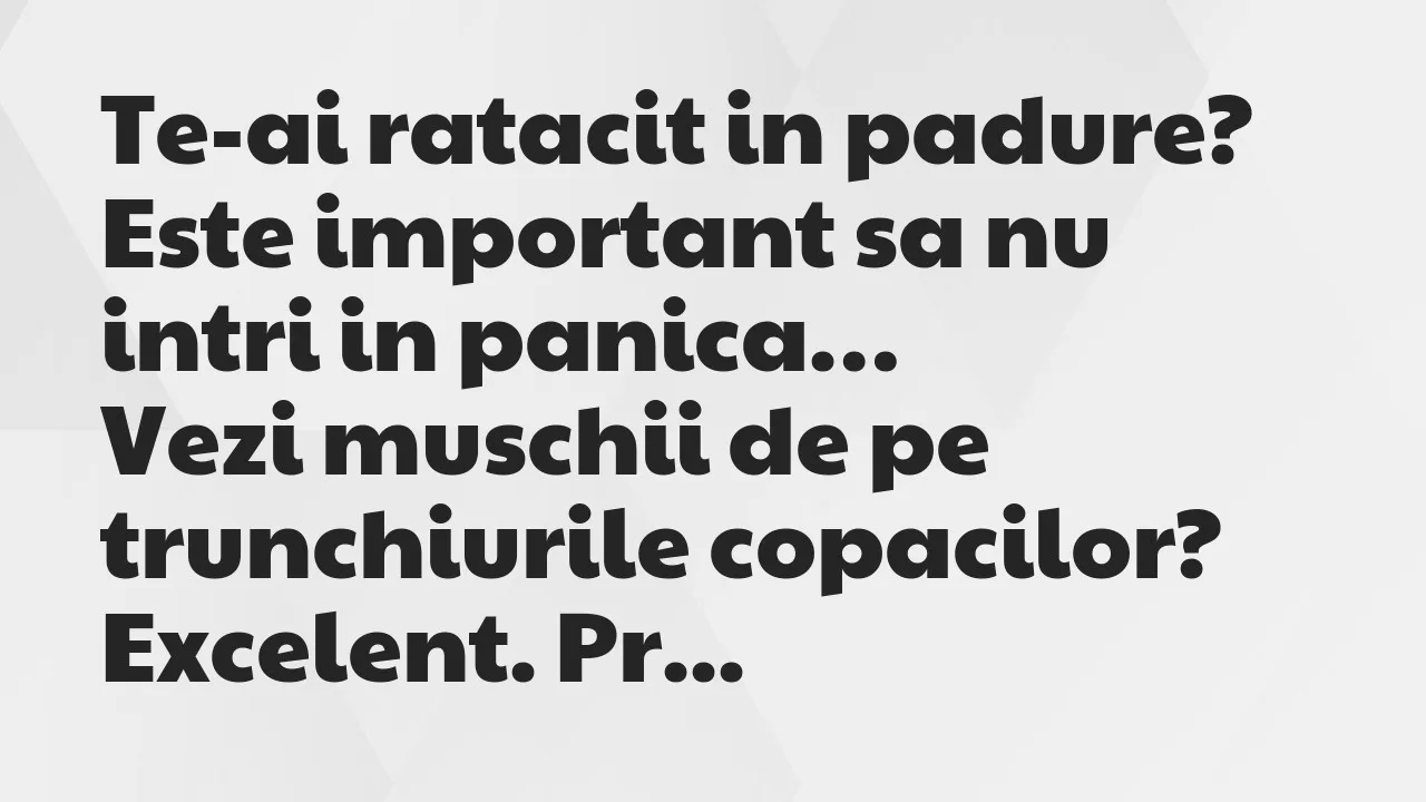 Banc: Te-ai ratacit in padure? Este important sa nu intri in panica…