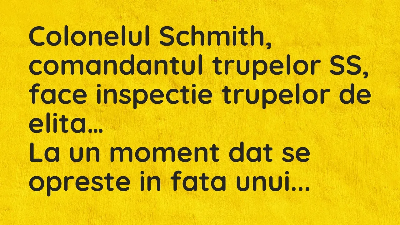 Bancuri: Colonelul Schmith, comandantul trupelor SS, face inspectie trupelor…