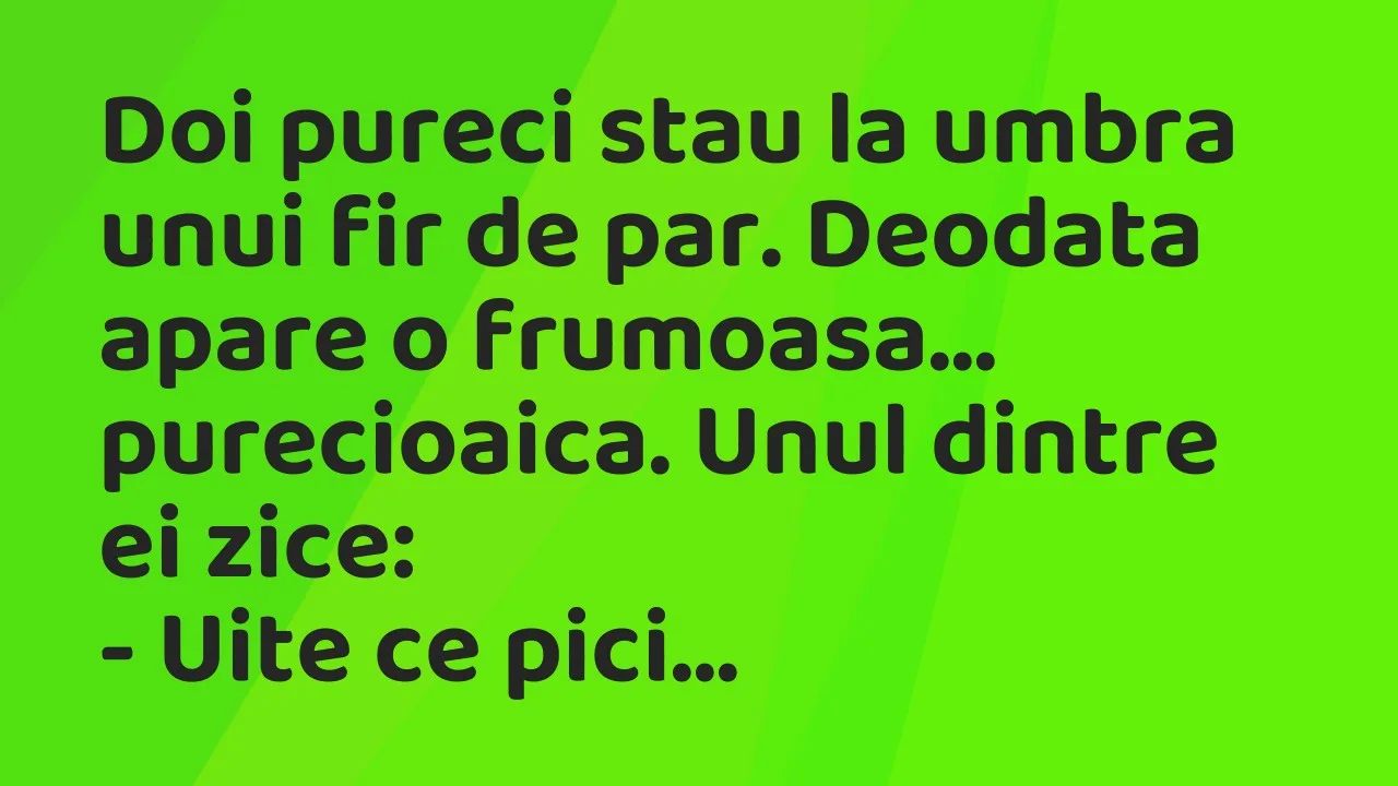 Bancuri: Doi pureci stau la umbra unui fir de par. Deodata apare o frumoasa…