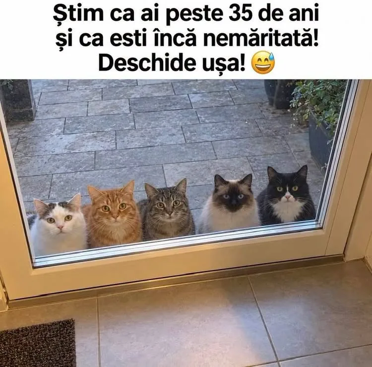Știm ca ai peste 35 de ani și ca esti încă nemăritata!