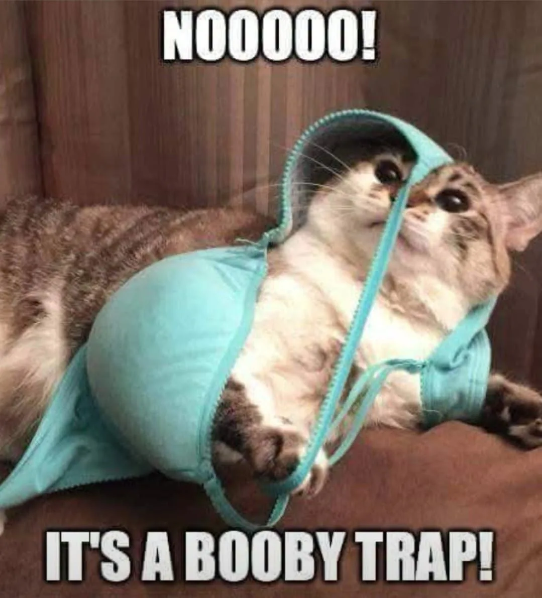Nooooo! It's a booby trap!