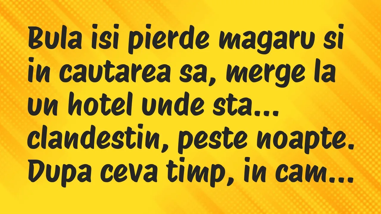 Banc: Bula isi pierde magaru si in cautarea sa, merge la un hotel unde sta…