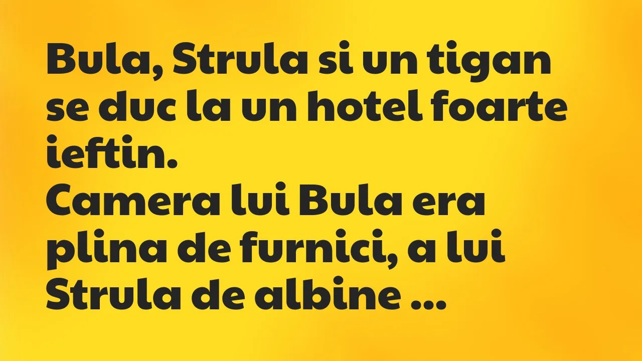 Banc: Bula, Strula si un tigan se duc la un hotel foarte ieftin…
