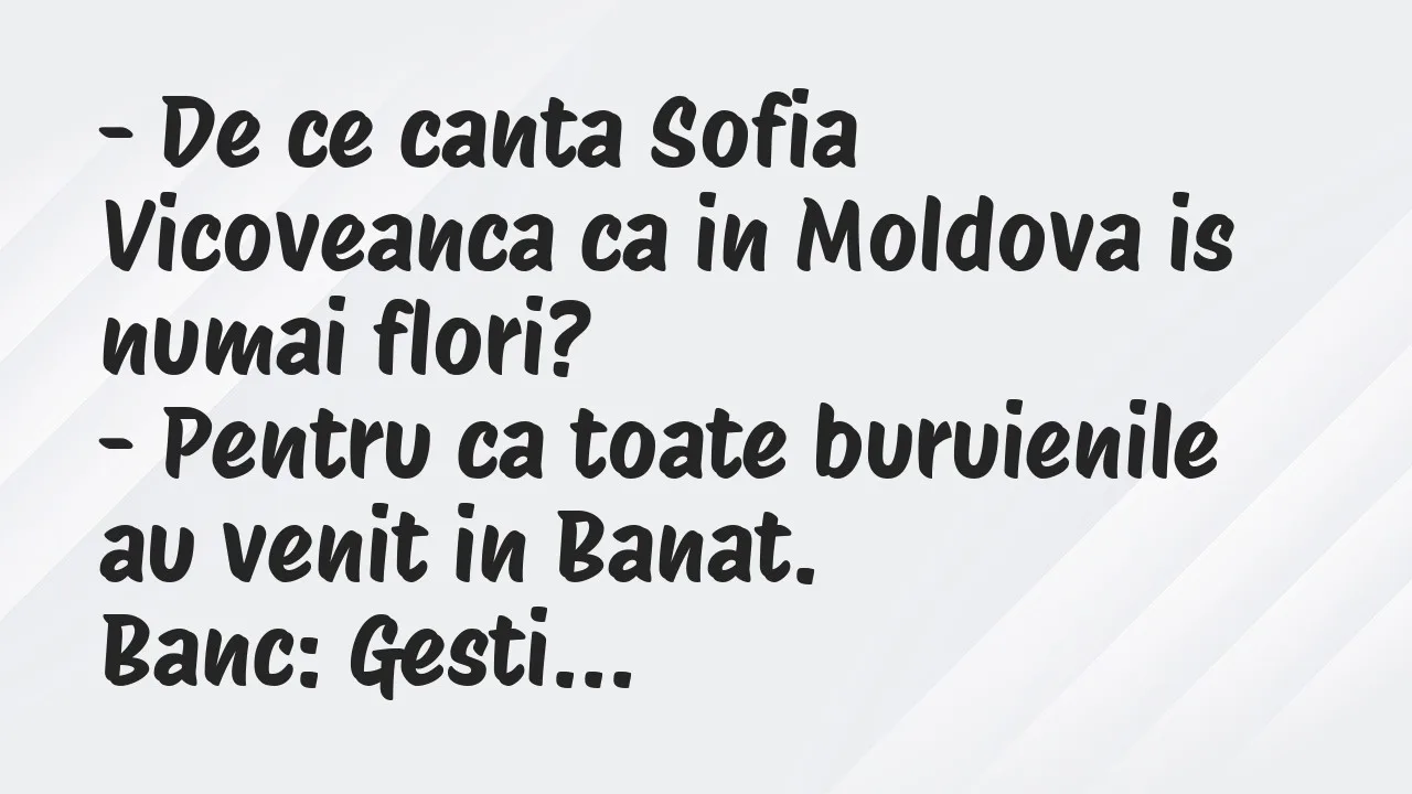Banc: De ce canta Sofia Vicoveanca ca in Moldova is numai flori?