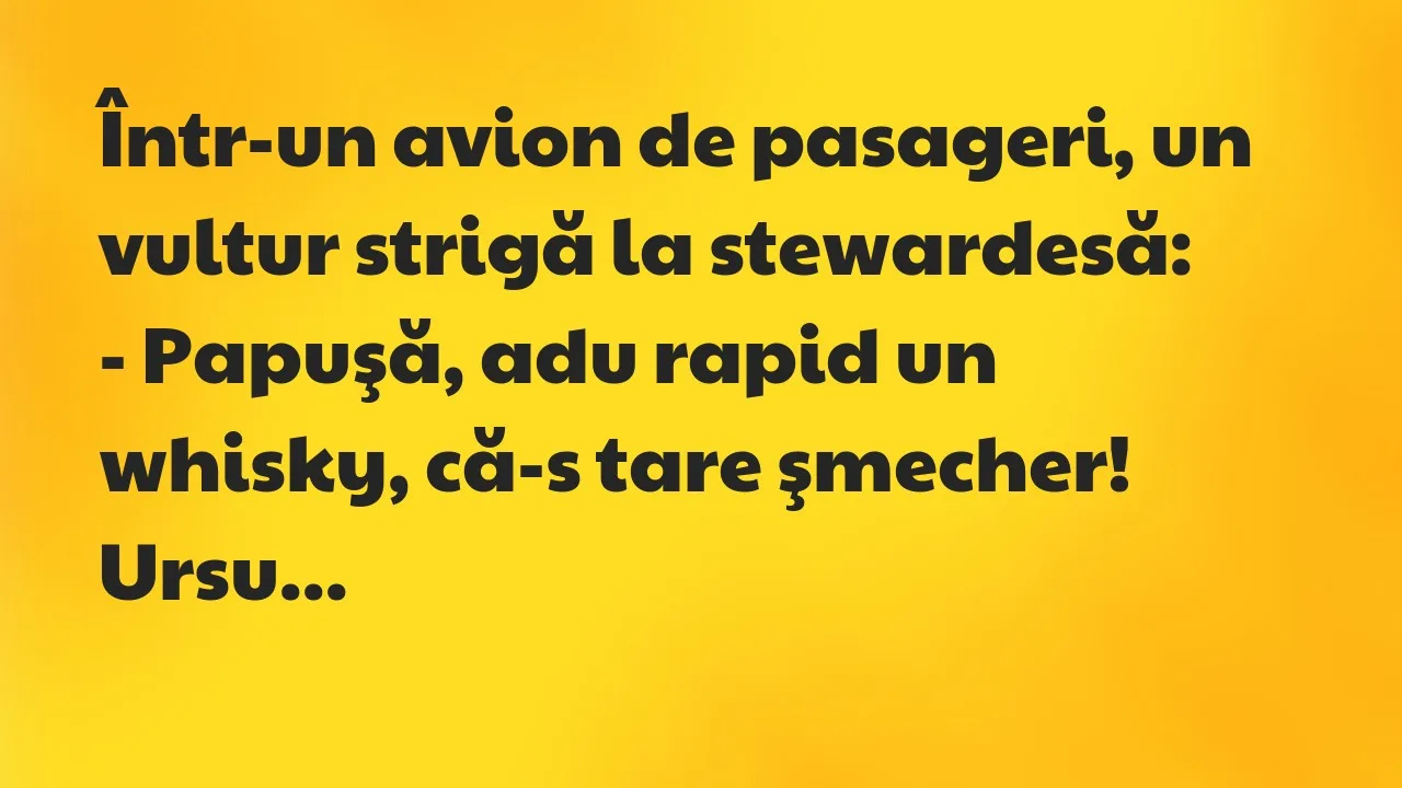 Banc: Într-un avion de pasageri, un vultur strigă la stewardesă…