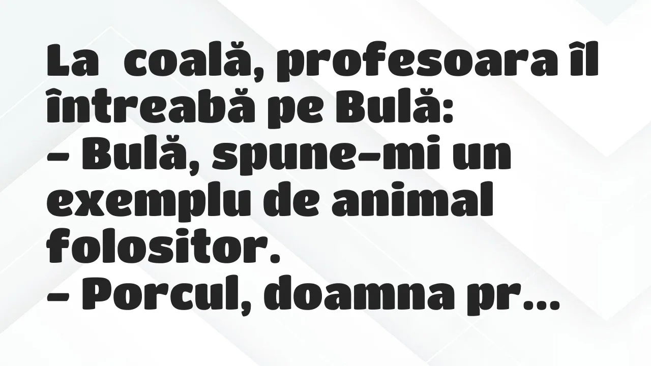 Banc: La școală, profesoara îl întreabă pe Bulă…