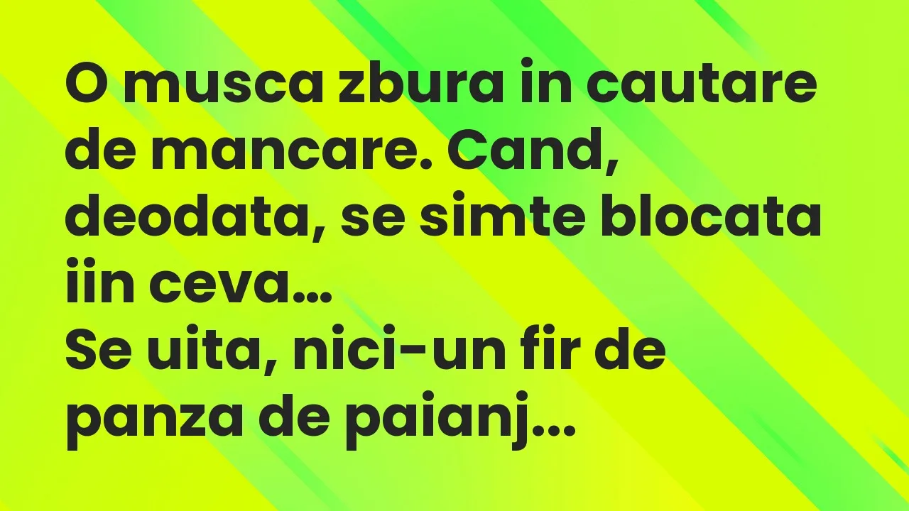 Banc: O musca zbura in cautare de mancare. Cand, deodata, se simte blocata…