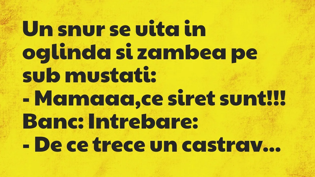 Banc: Un snur se uita in oglinda si zambea pe sub mustati…