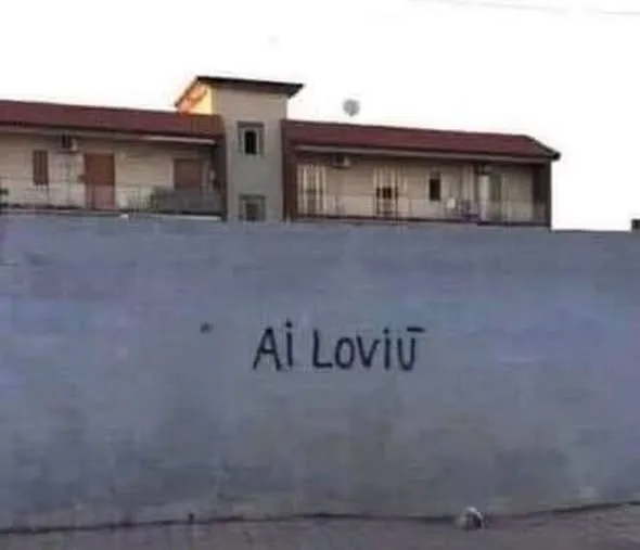 Ai loviu