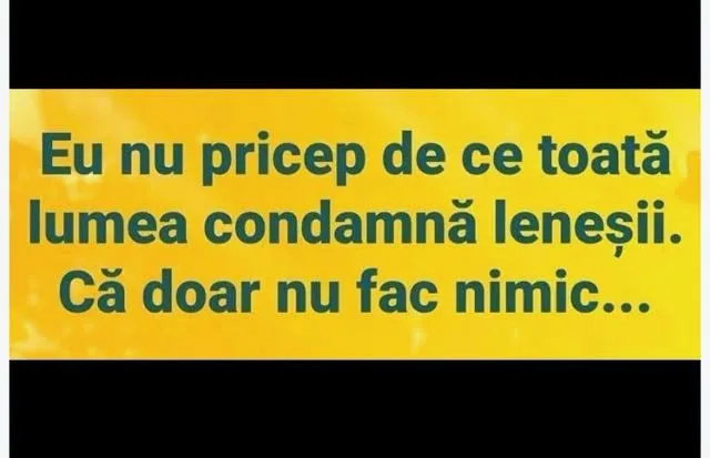 Eu nu pricep de ce toată lumea condamnă leneșii...