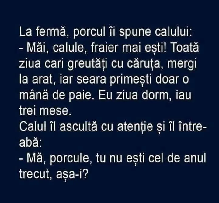 La fermă, porcul îi spune calului...