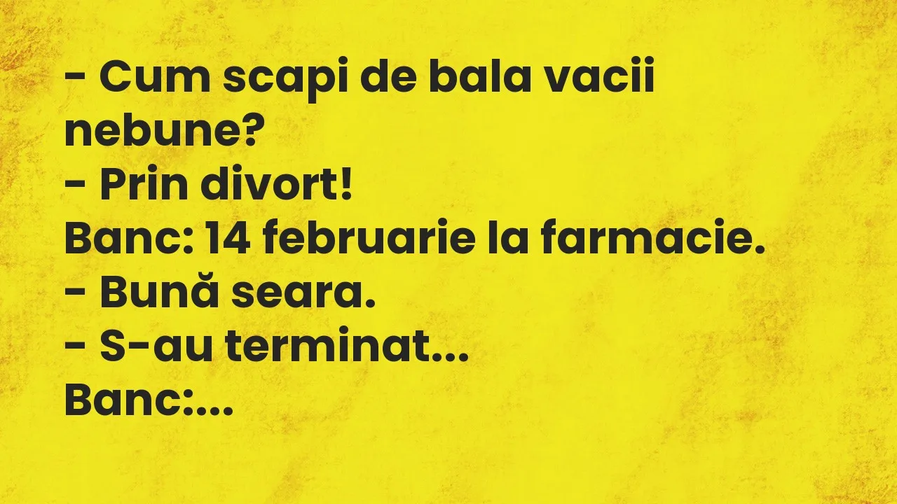 Banc: Cum scapi de bala vacii nebune?