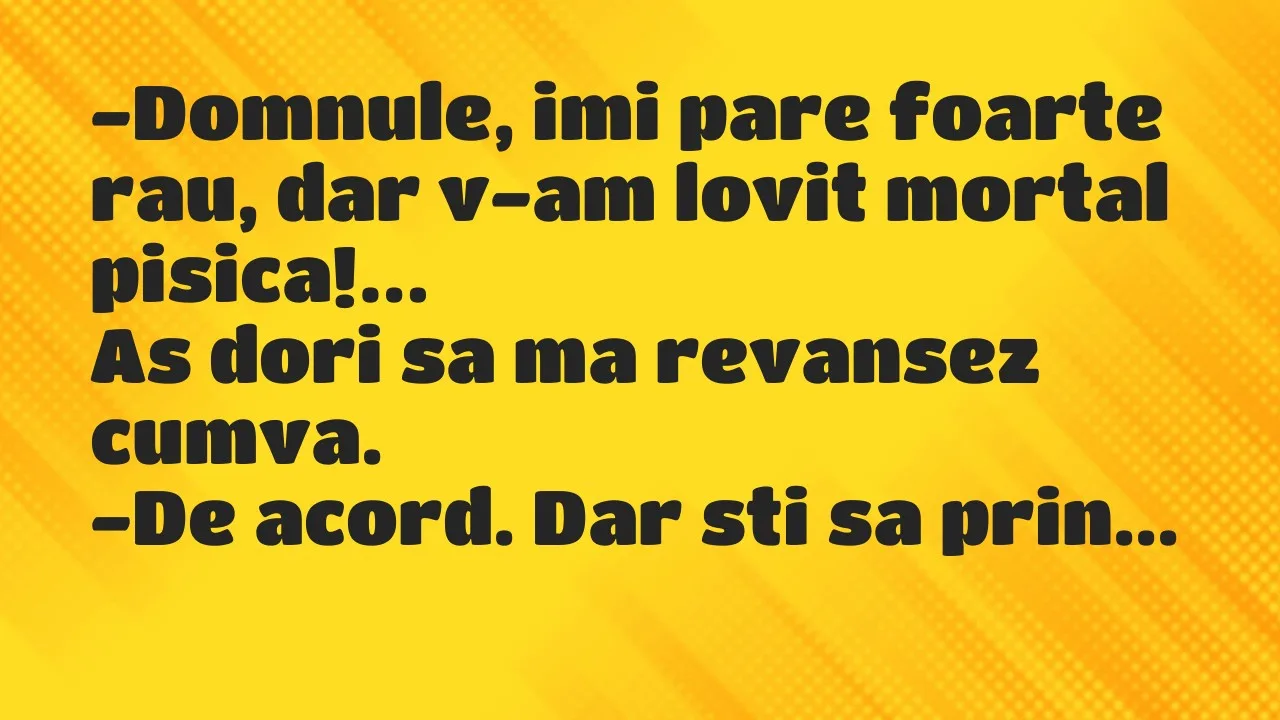 Banc: Domnule, imi pare foarte rau, dar v-am lovit mortal pisica…