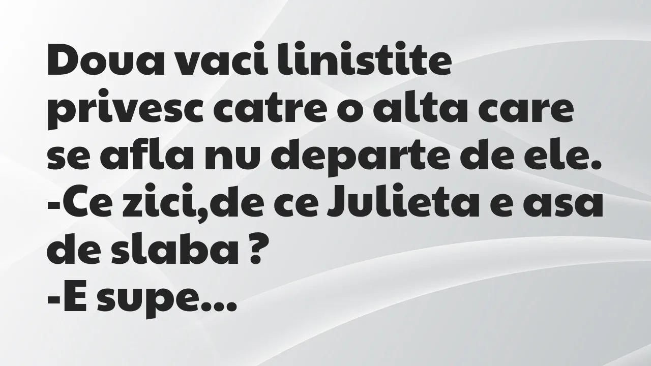 Banc: Doua vaci linistite privesc catre o alta care se afla nu departe de ele…