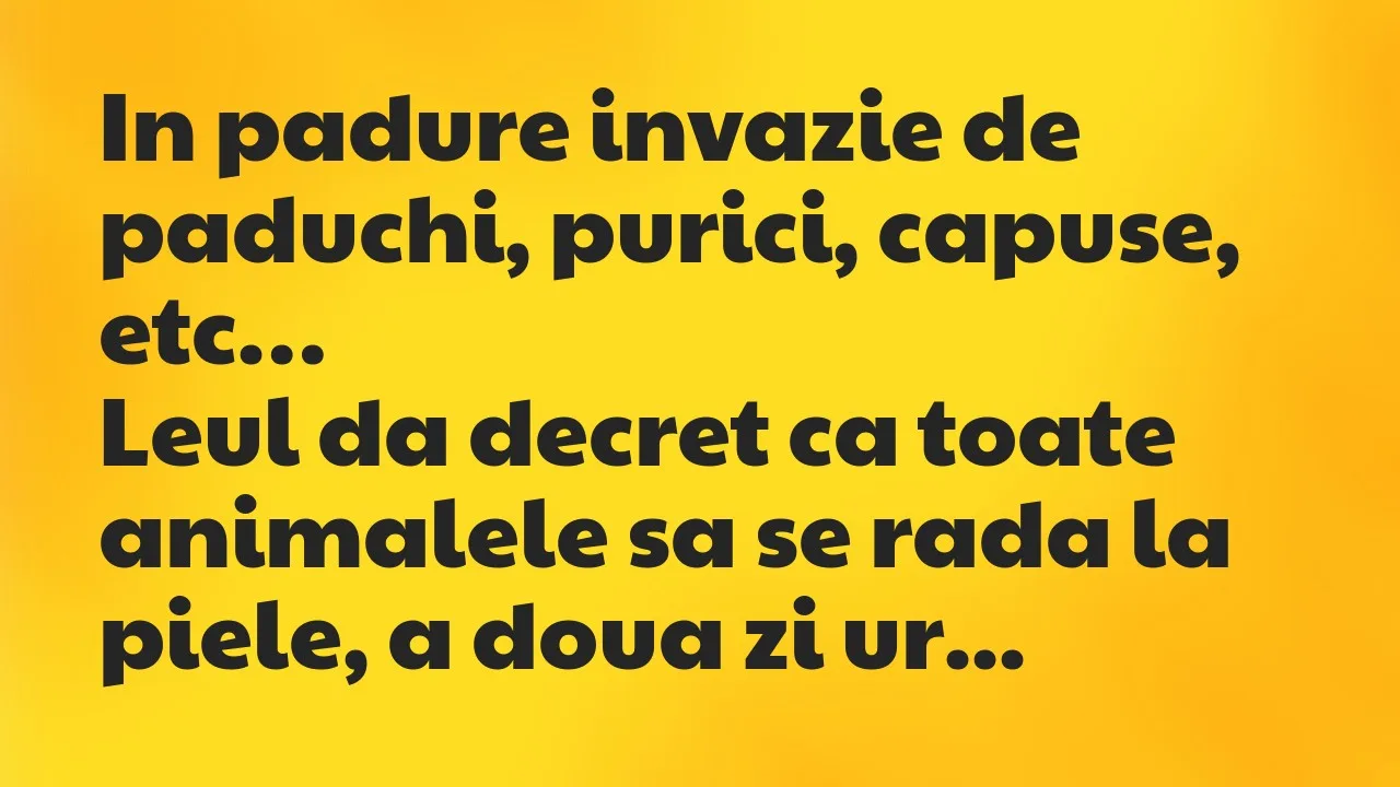 Banc: In padure invazie de paduchi, purici, capuse, etc. Leul da decret ca…