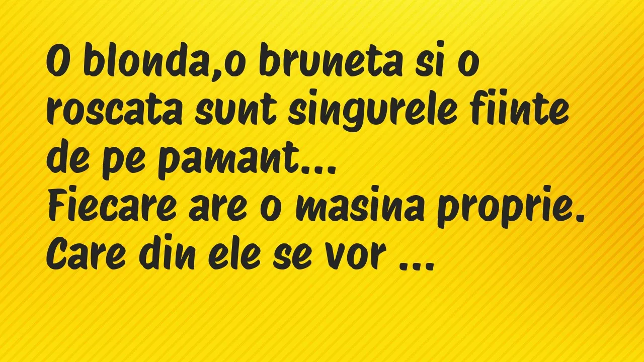 Banc: O blonda,o bruneta si o roscata sunt singurele fiinte de pe pamant…