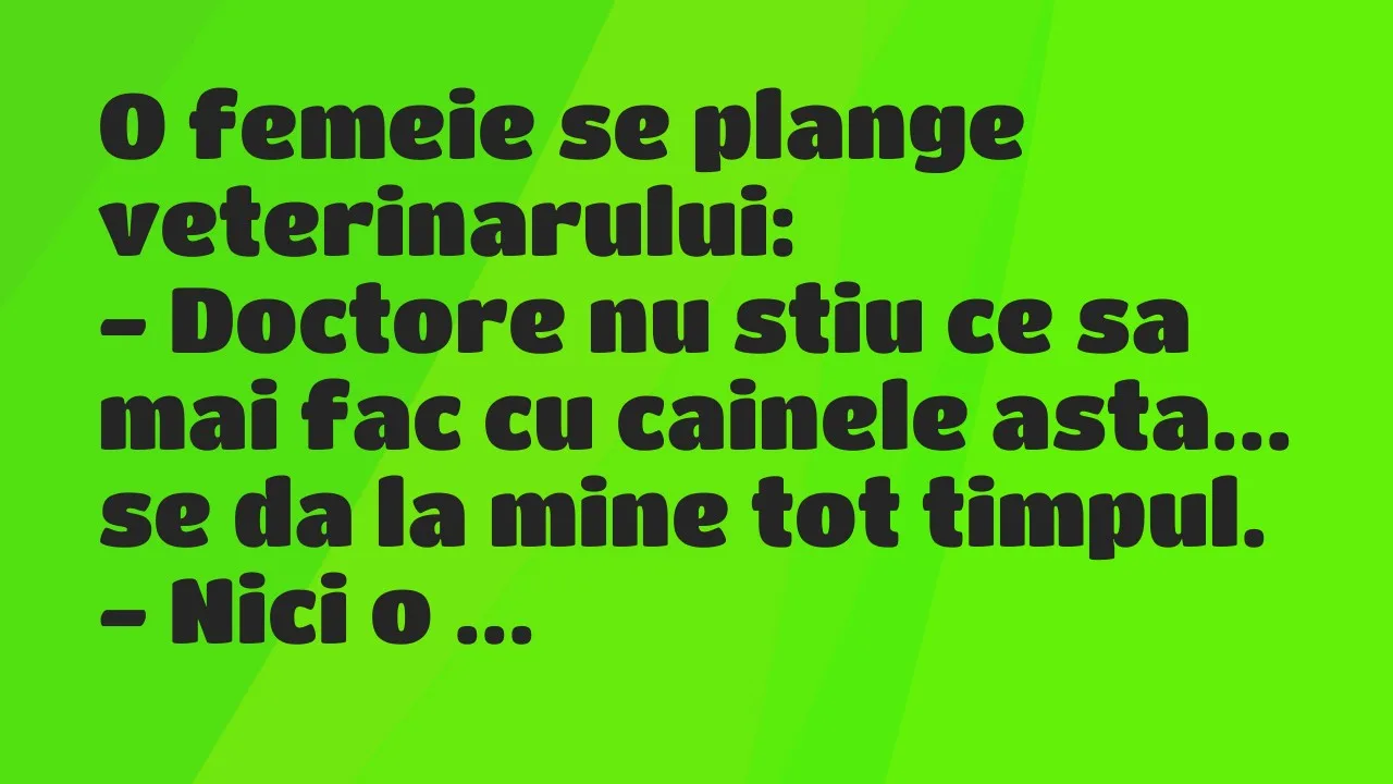 Banc: O femeie se plange veterinarului…