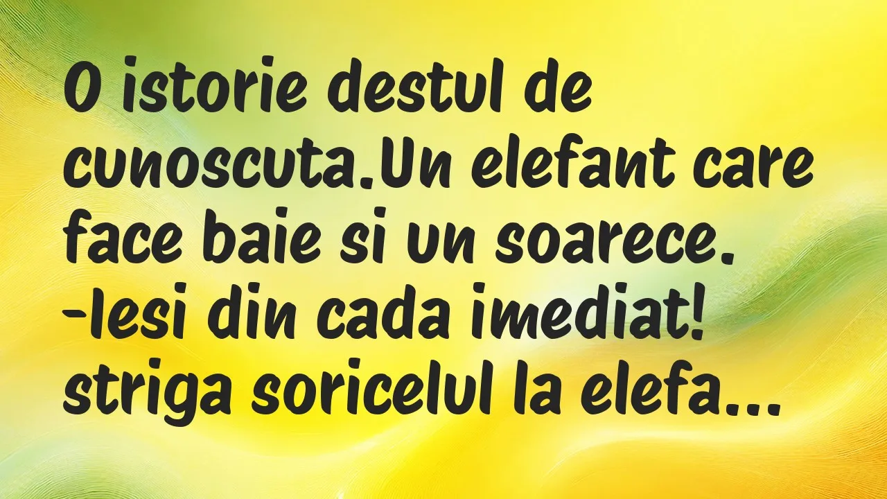 Banc: O istorie destul de cunoscuta.Un elefant care face baie si un soarece…