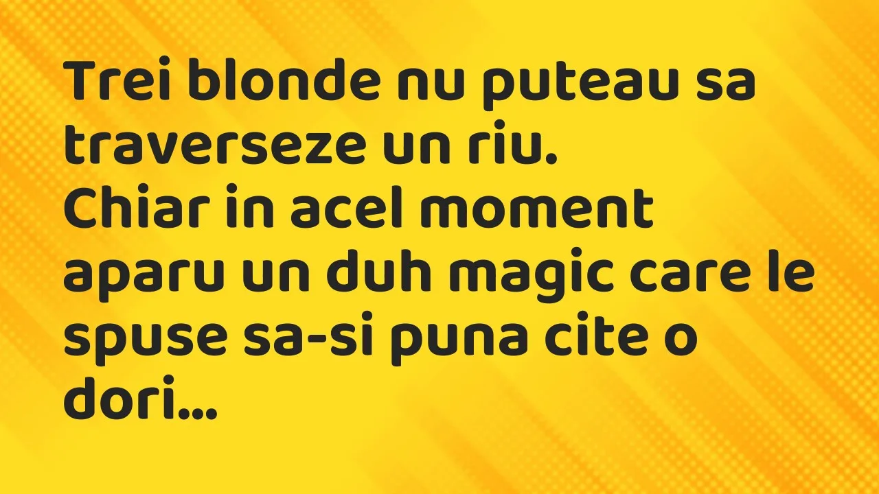 Banc: Trei blonde nu puteau sa traverseze un riu…