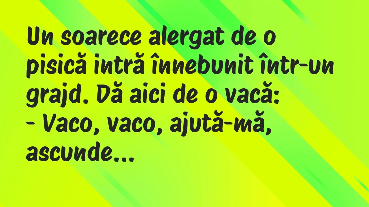 Banc: Un soarece alergat de o pisică intră înnebunit într-un grajd…