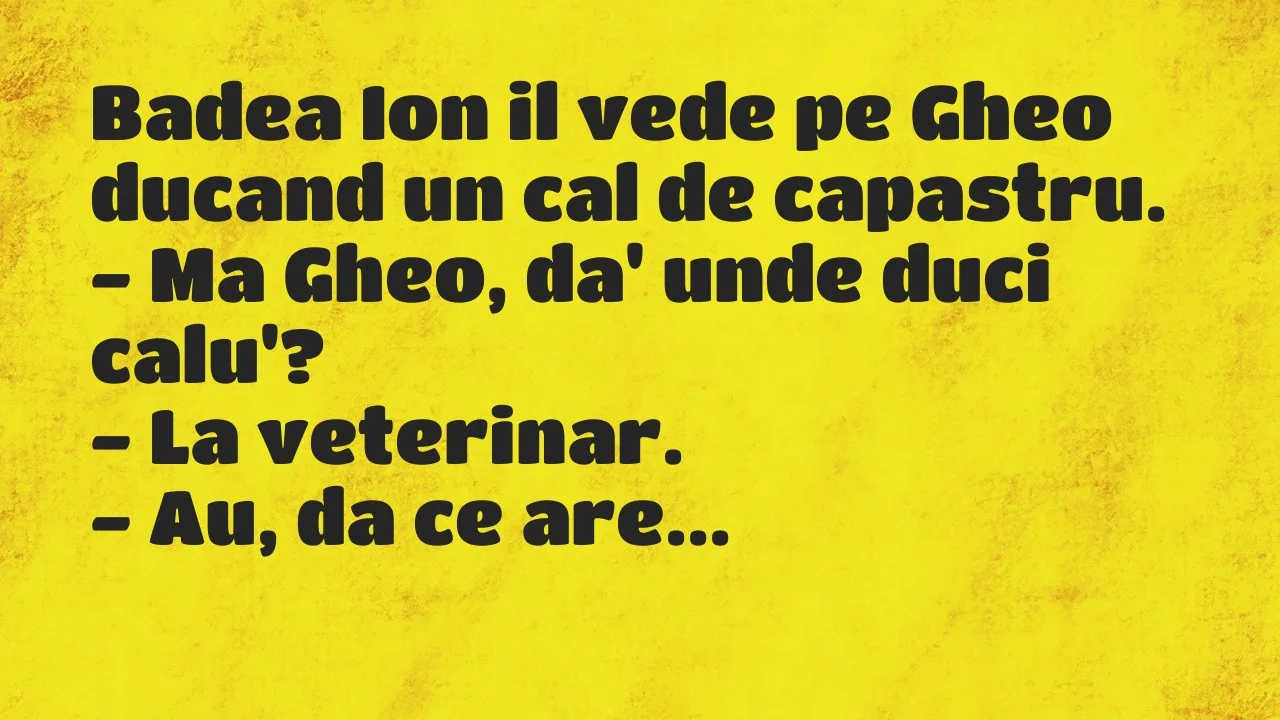 Bancuri: Badea Ion il vede pe Gheo ducand un cal de capastru…