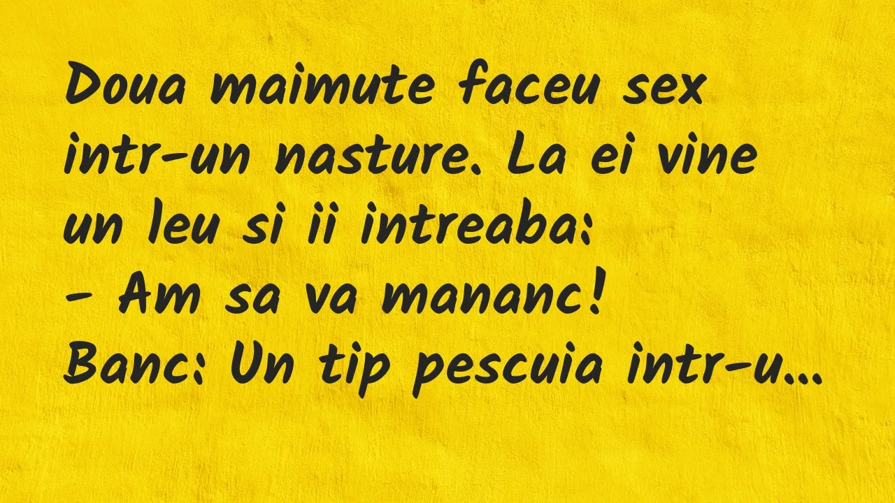 Bancuri: Doua maimute faceu sex intr-un nasture. La ei vine un leu si ii…